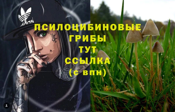 хмурый Волосово