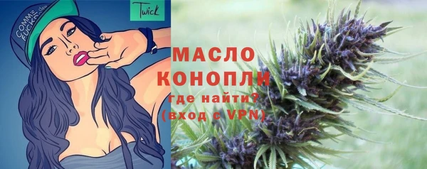 тгк Богородицк