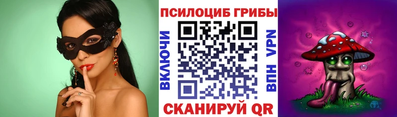 где найти KRAKEN ссылка Псилоцибиновые грибы Psilocybe Инза