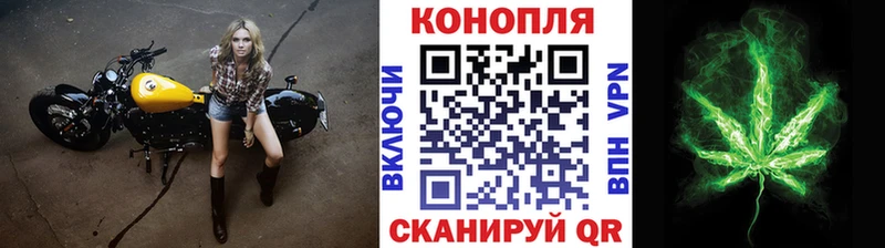 купить Инза Бошки Шишки ГИДРОПОН